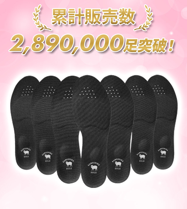 累計販売数2,890,000足突破！