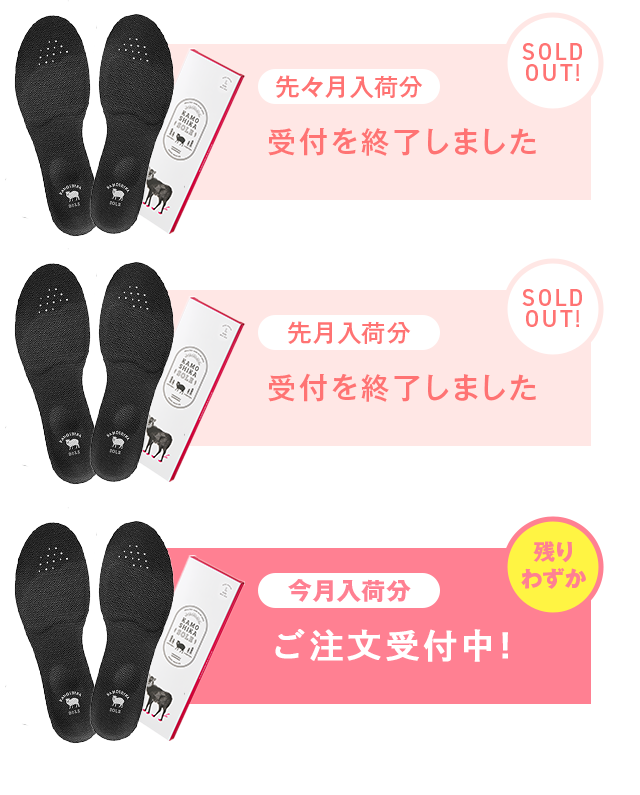 先月入荷分までは受付終了 今月入荷分のご注文受付中！ 残りわずか